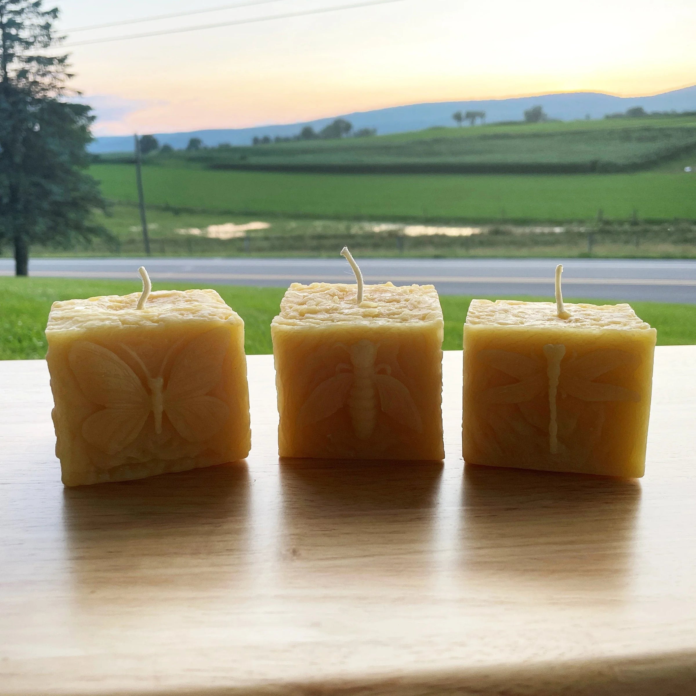 Pollinator Pillar Beeswax Candle Collection - BIG FRENCHIES