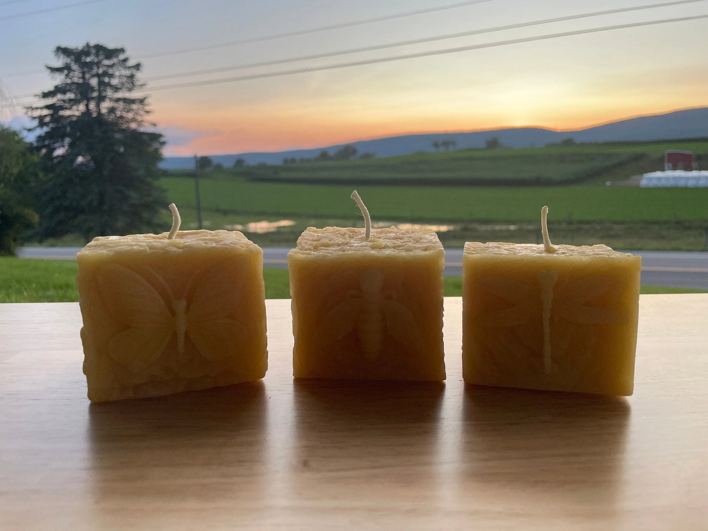 Pollinator Pillar Beeswax Candle Collection - BIG FRENCHIES