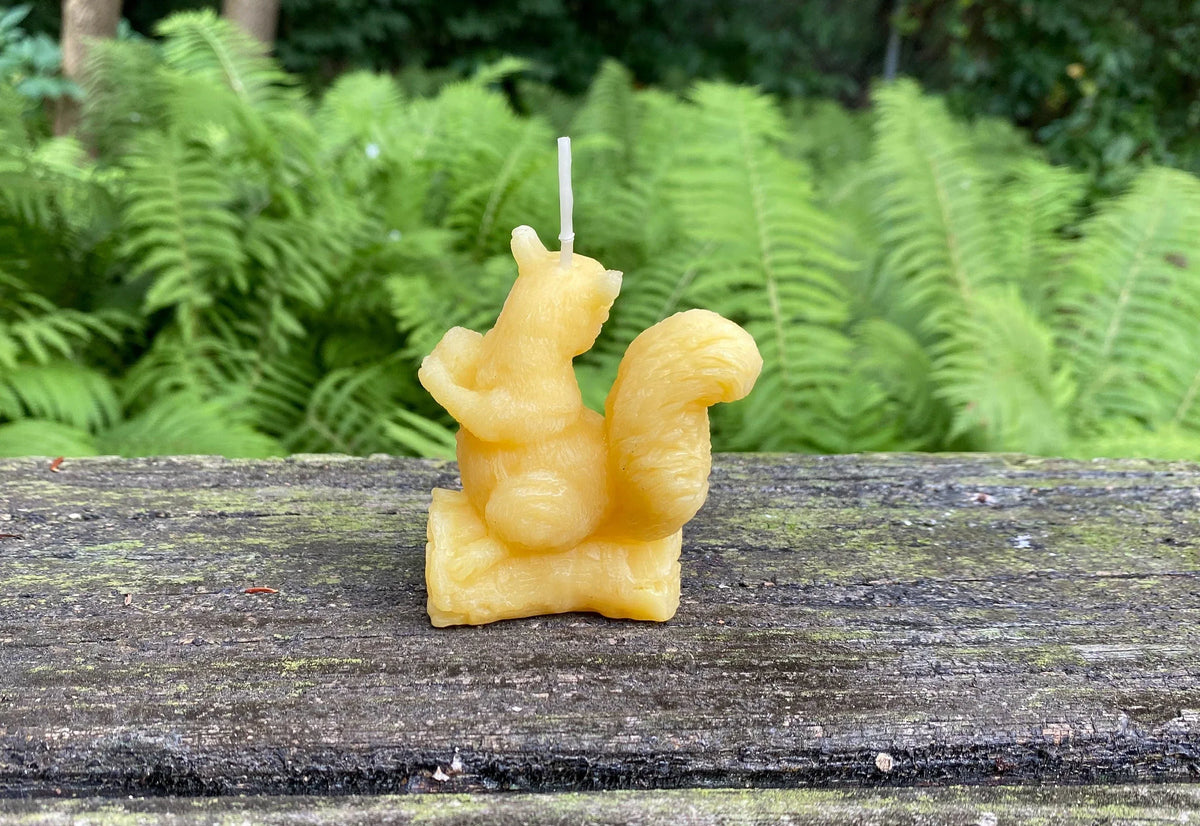 Squirrel Beeswax Candle - BIG FRENCHIES