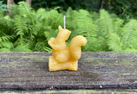 Squirrel Beeswax Candle - BIG FRENCHIES