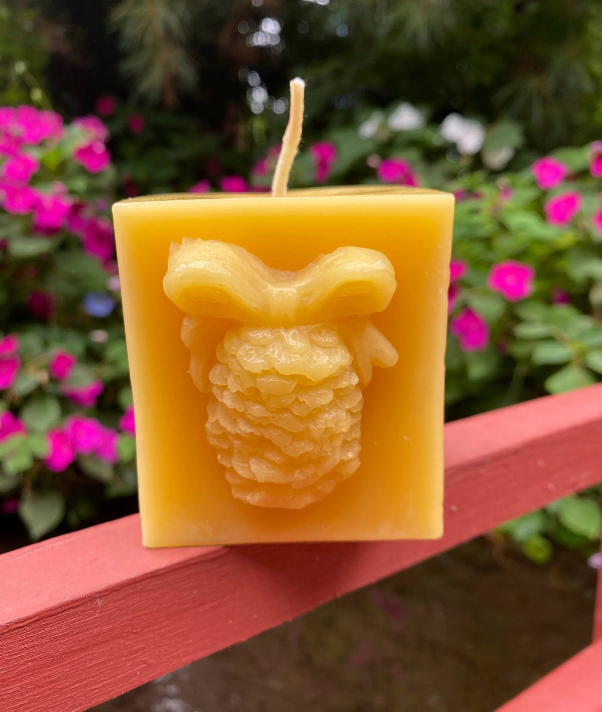Pinecone Square Gift Beeswax Candle - BIG FRENCHIES