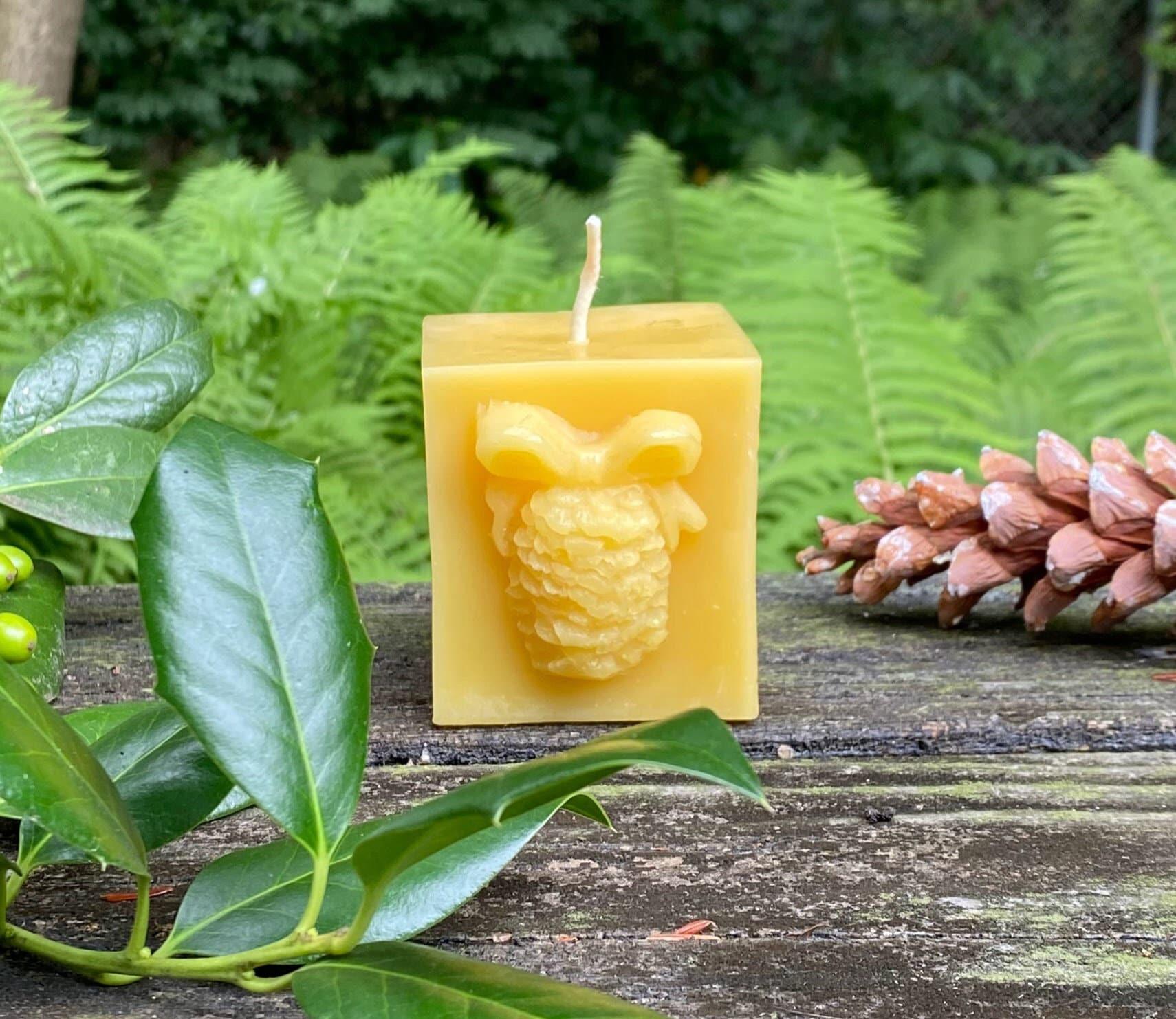Pinecone Square Gift Beeswax Candle - BIG FRENCHIES
