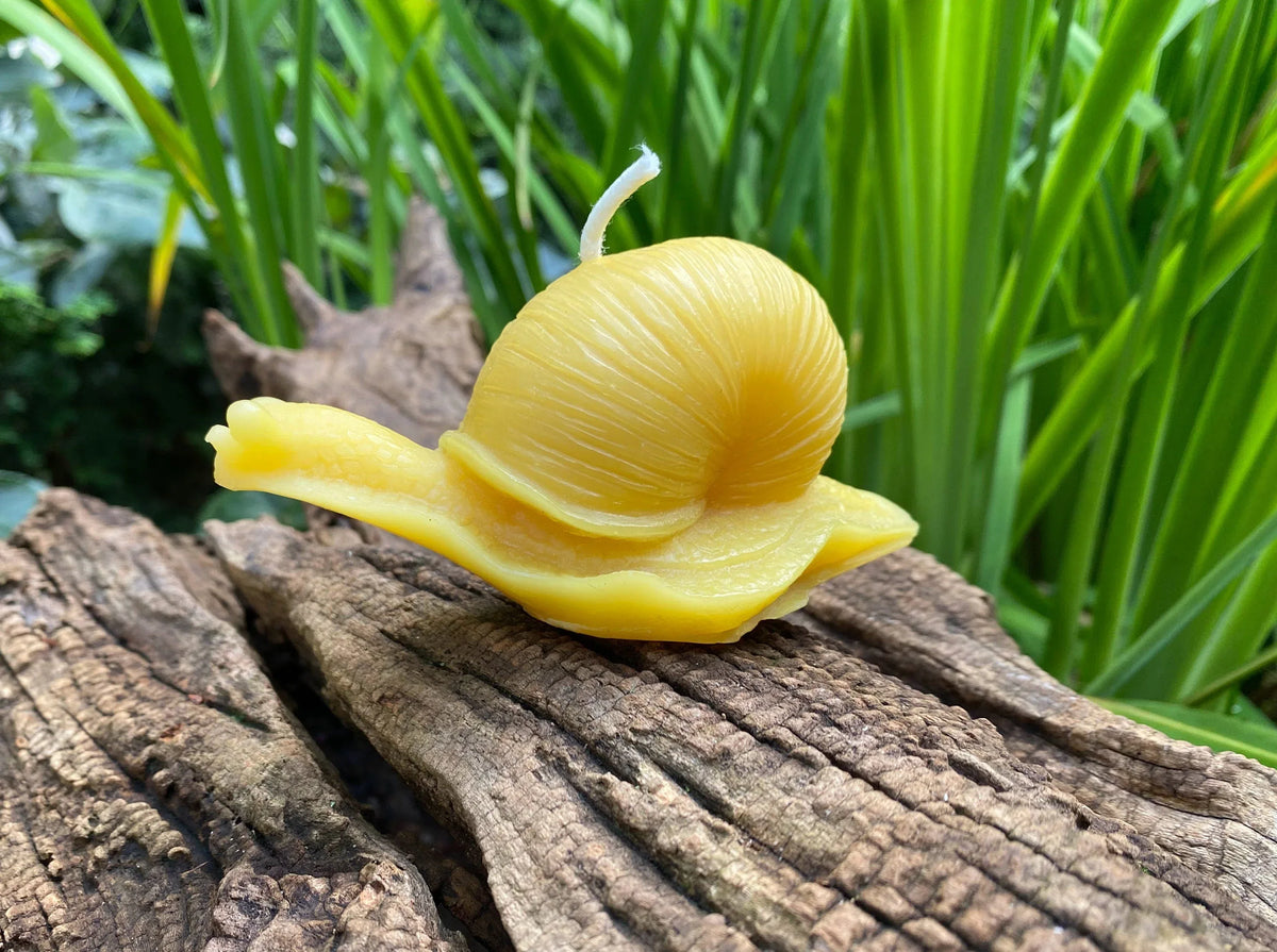 Snail Beeswax Candle - BIG FRENCHIES