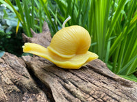 Snail Beeswax Candle - BIG FRENCHIES