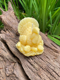 Turkey Beeswax Candle - BIG FRENCHIES