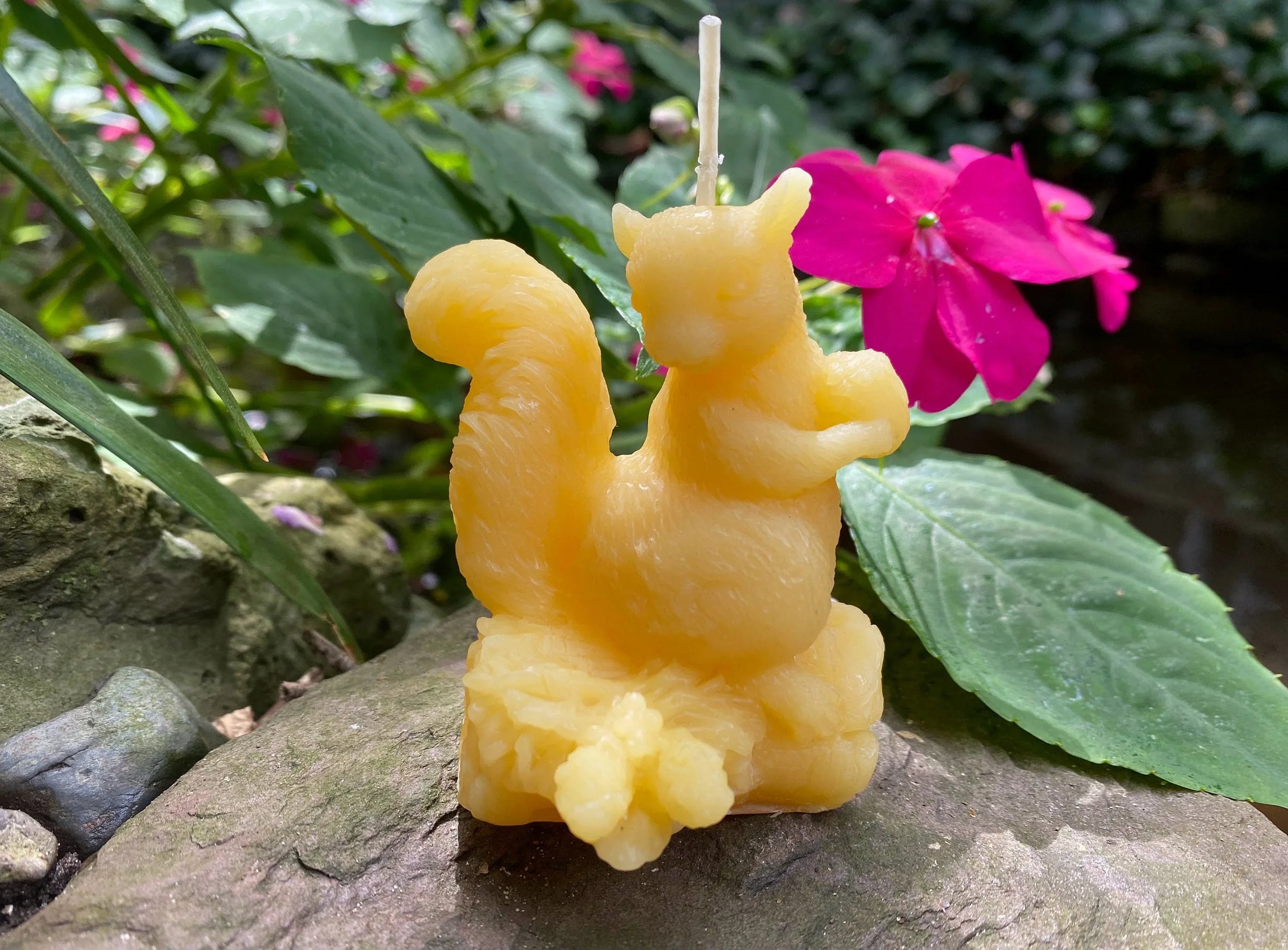 Squirrel Beeswax Candle - BIG FRENCHIES