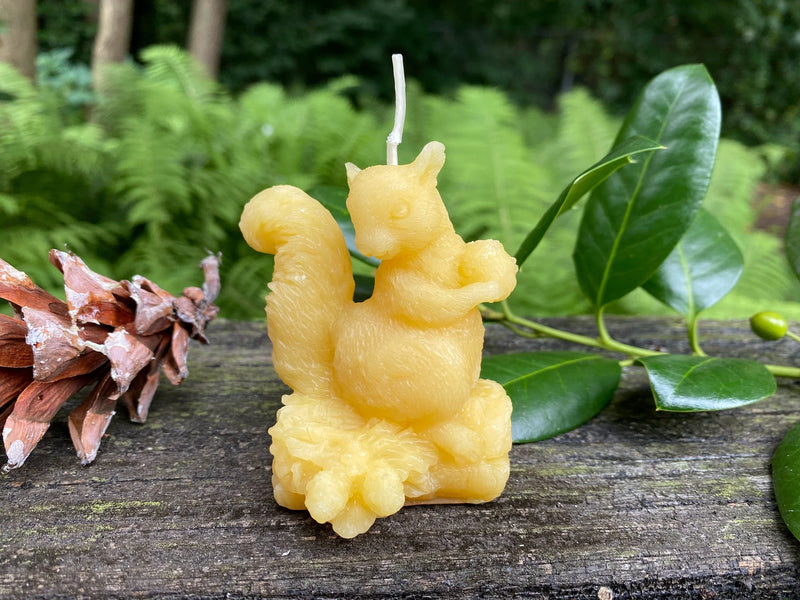 Squirrel Beeswax Candle - BIG FRENCHIES