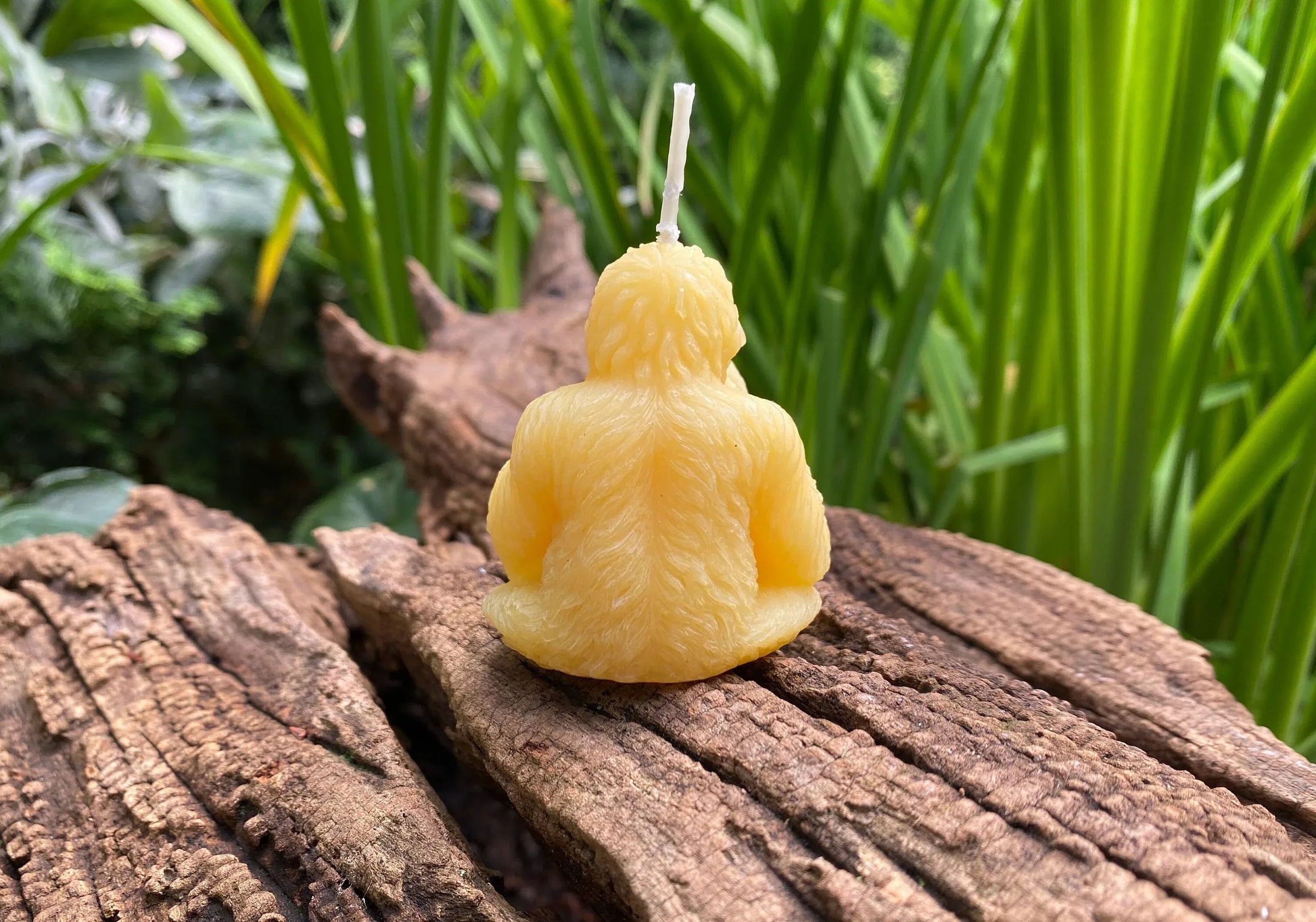 Orangutan Beeswax Candle - BIG FRENCHIES