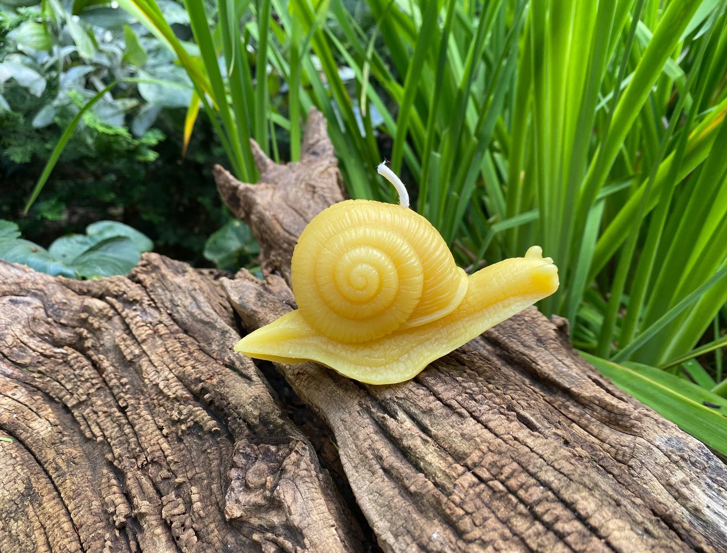 Snail Beeswax Candle - BIG FRENCHIES