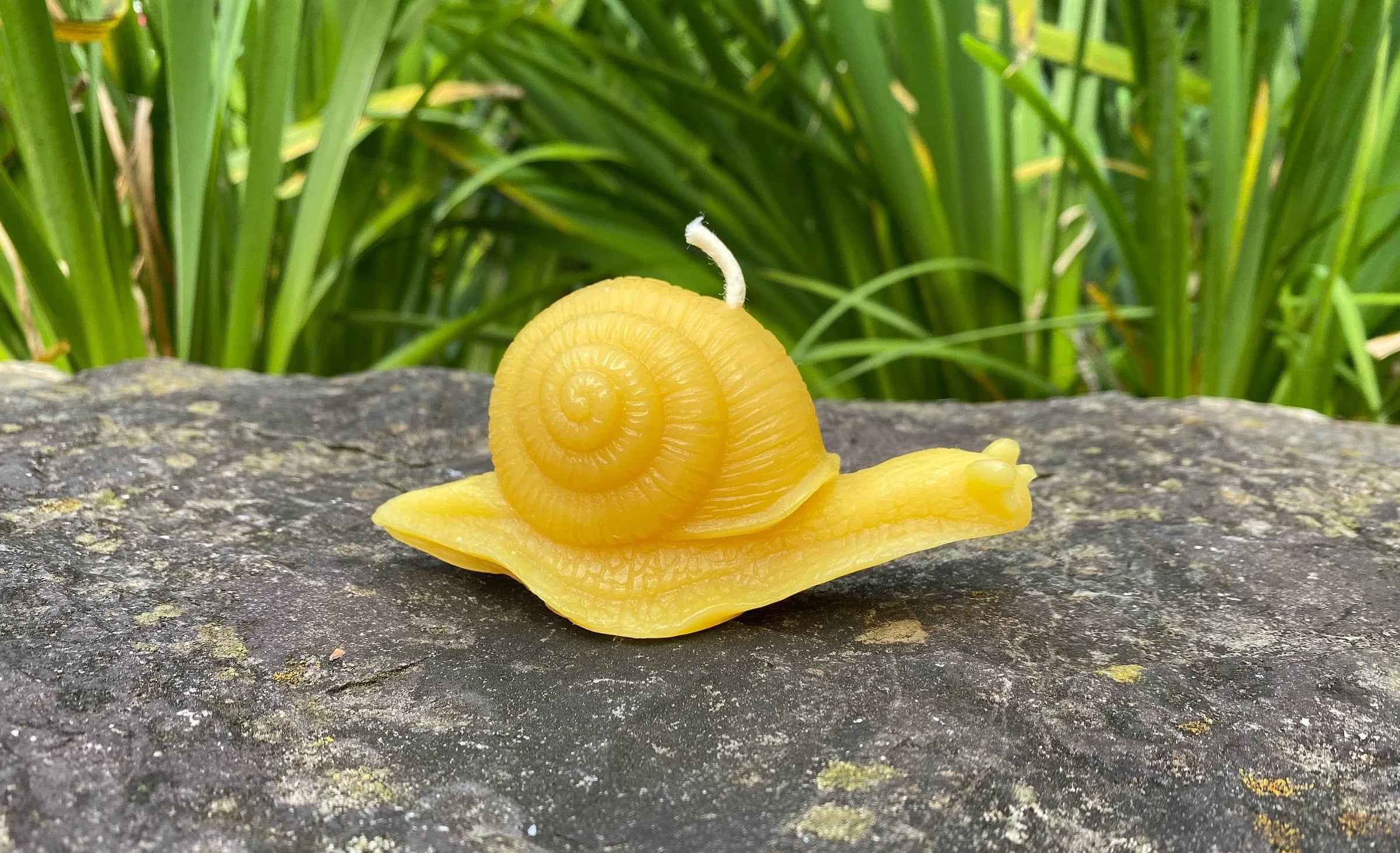 Snail Beeswax Candle - BIG FRENCHIES