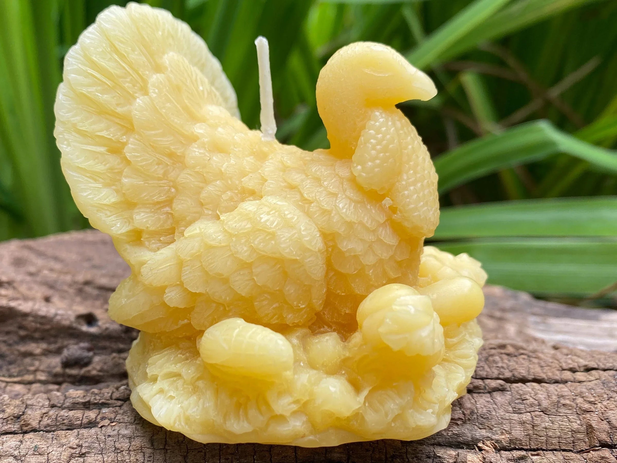 Turkey Beeswax Candle - BIG FRENCHIES