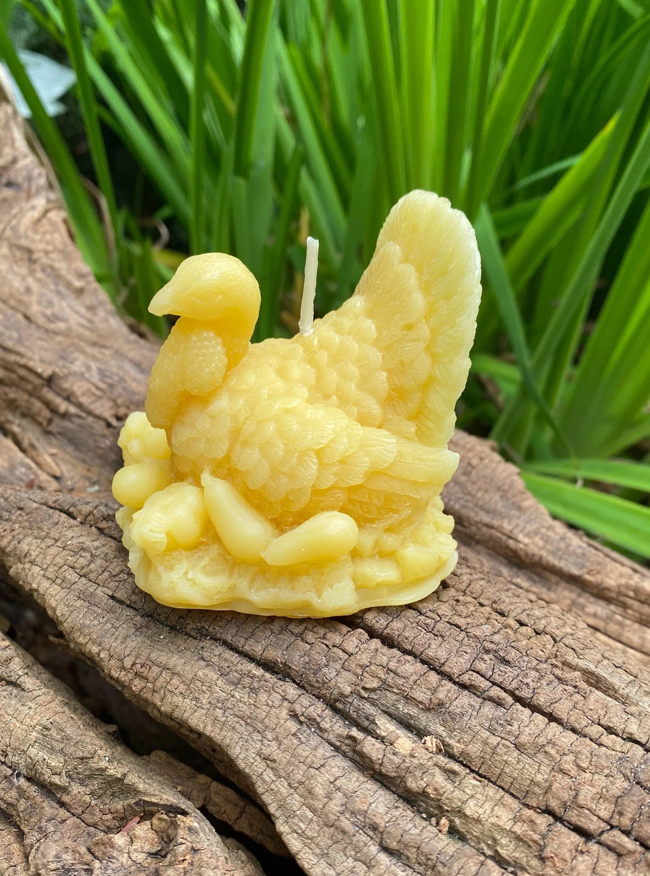 Turkey Beeswax Candle - BIG FRENCHIES