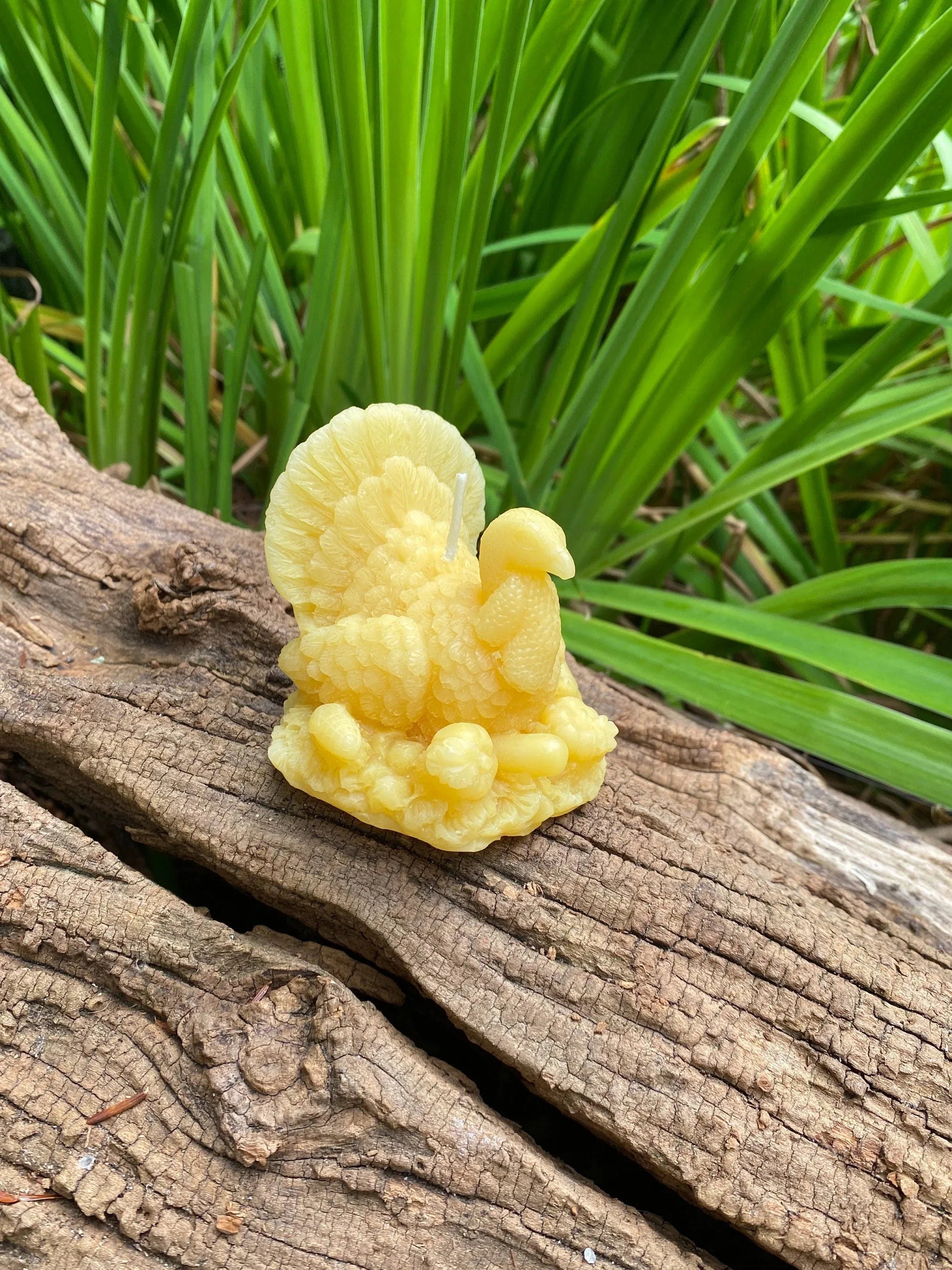 Turkey Beeswax Candle - BIG FRENCHIES
