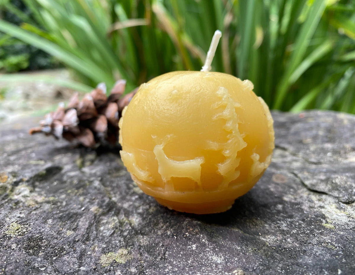 Starry Night Beeswax Candle Pair - BIG FRENCHIES