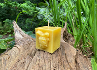 Pinecone Square Gift Beeswax Candle - BIG FRENCHIES