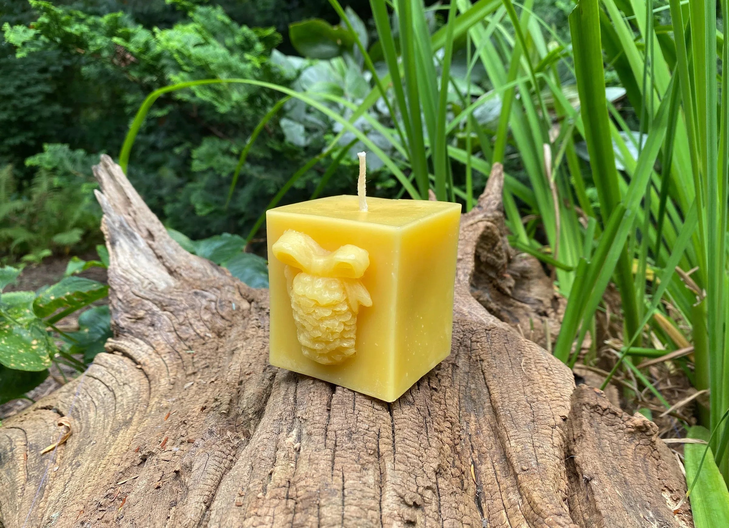 Pinecone Square Gift Beeswax Candle - BIG FRENCHIES