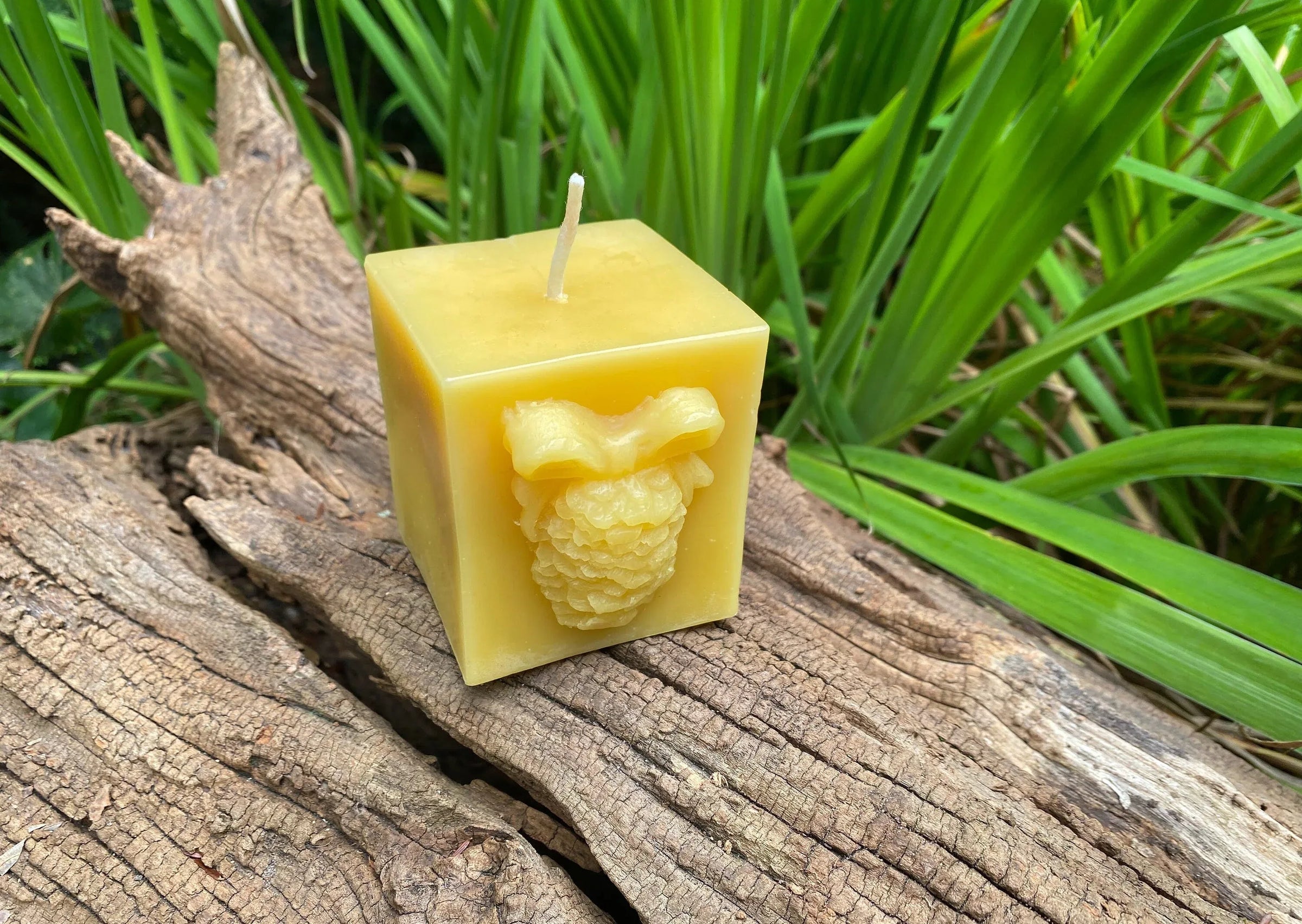 Pinecone Square Gift Beeswax Candle - BIG FRENCHIES