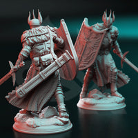3D Printed Divine Paladin of Conquest by DM Stash