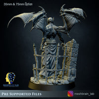 3d Printed Vampire Lord by Meshbrain labs