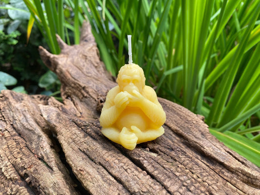Orangutan Beeswax Candle - BIG FRENCHIES