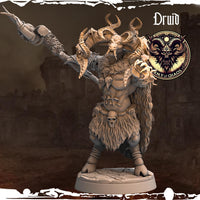 3D Printed Chaos Beast Druids by Monolith Arts