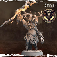 3D Printed Chaos Beast Shaman by Monolith Arts