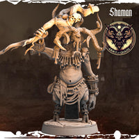 3D Printed Chaos Beast Shaman by Monolith Arts
