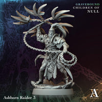 3D Printed Ashborn Raiders by Archvillain Games
