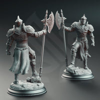 3D Printed Knight of the Tower by DM Stash
