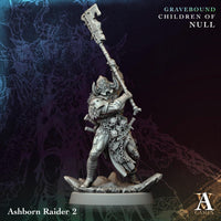 3D Printed Ashborn Raiders by Archvillain Games
