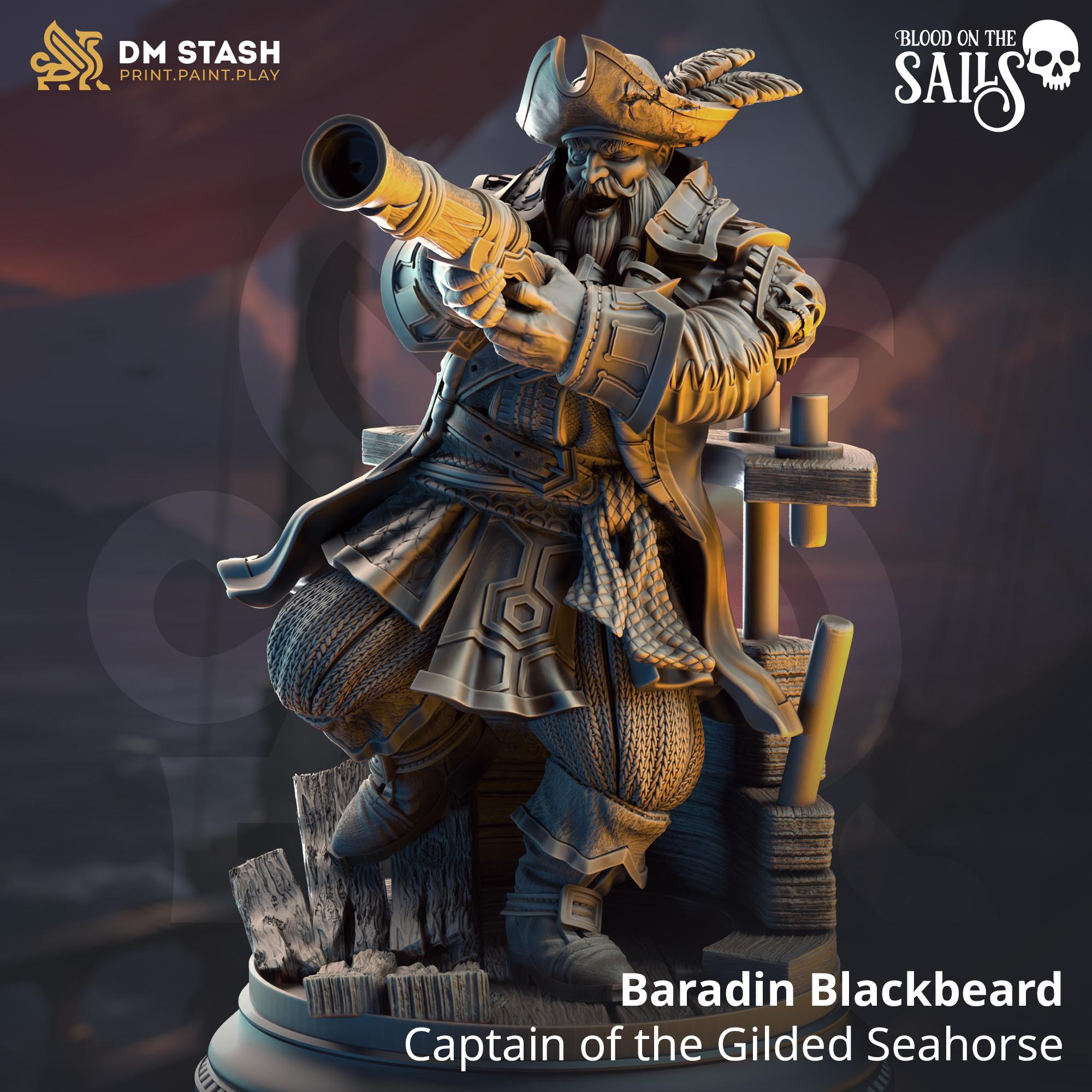 3D Printed Baradin Blackbeard - Captain of the Gilded Seahorse by DM Stash
