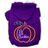 Halloween Pet Hoodie Screen Printed, "Lil Punkin"