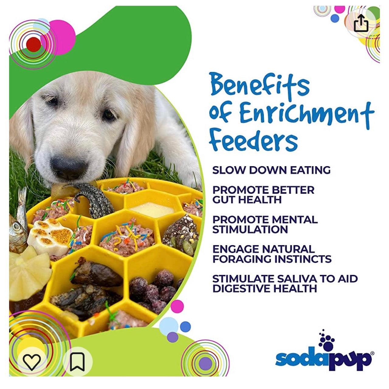 Honeycomb eBowl Deep Slow Feeder Dog Bowl for Enrichment | USA Made - BIG FRENCHIES