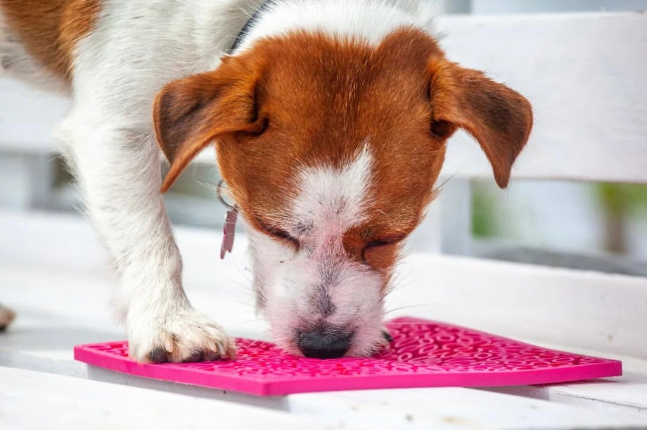 Flower Power emat - Enrichment Lick Mat for Dogs and Cats | Flower Design | USA Made - BIG FRENCHIES