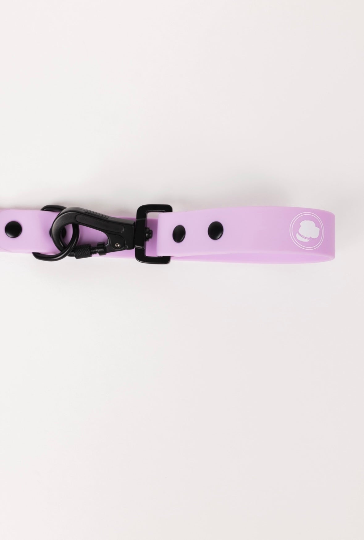 The Modern Dog Company - Blush Pink Leash - BIG FRENCHIES