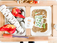 Camping Tent Dramatic Play Kit