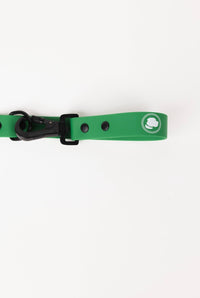 The Modern Dog Company - Clover Green Leash - BIG FRENCHIES