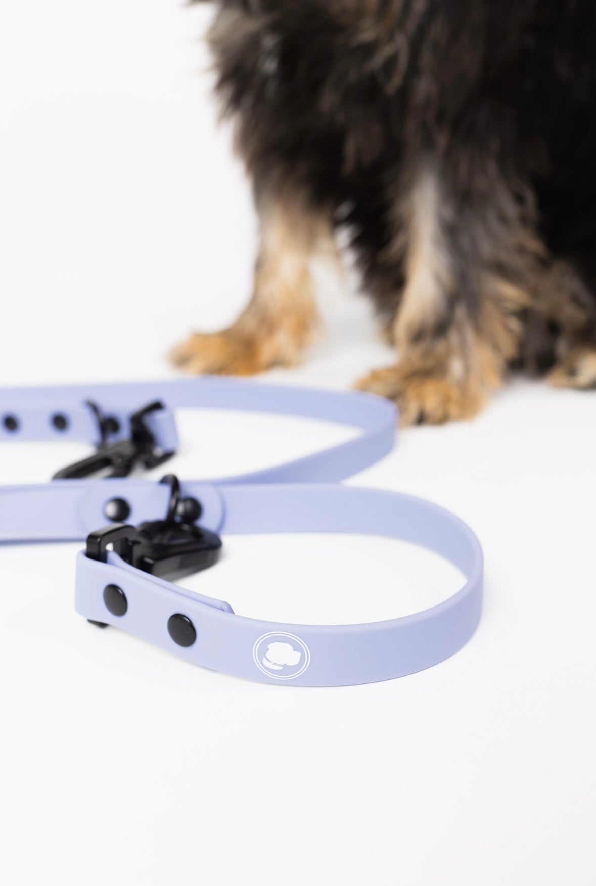 The Modern Dog Company - Lavender Purple Adjustable Leash - BIG FRENCHIES