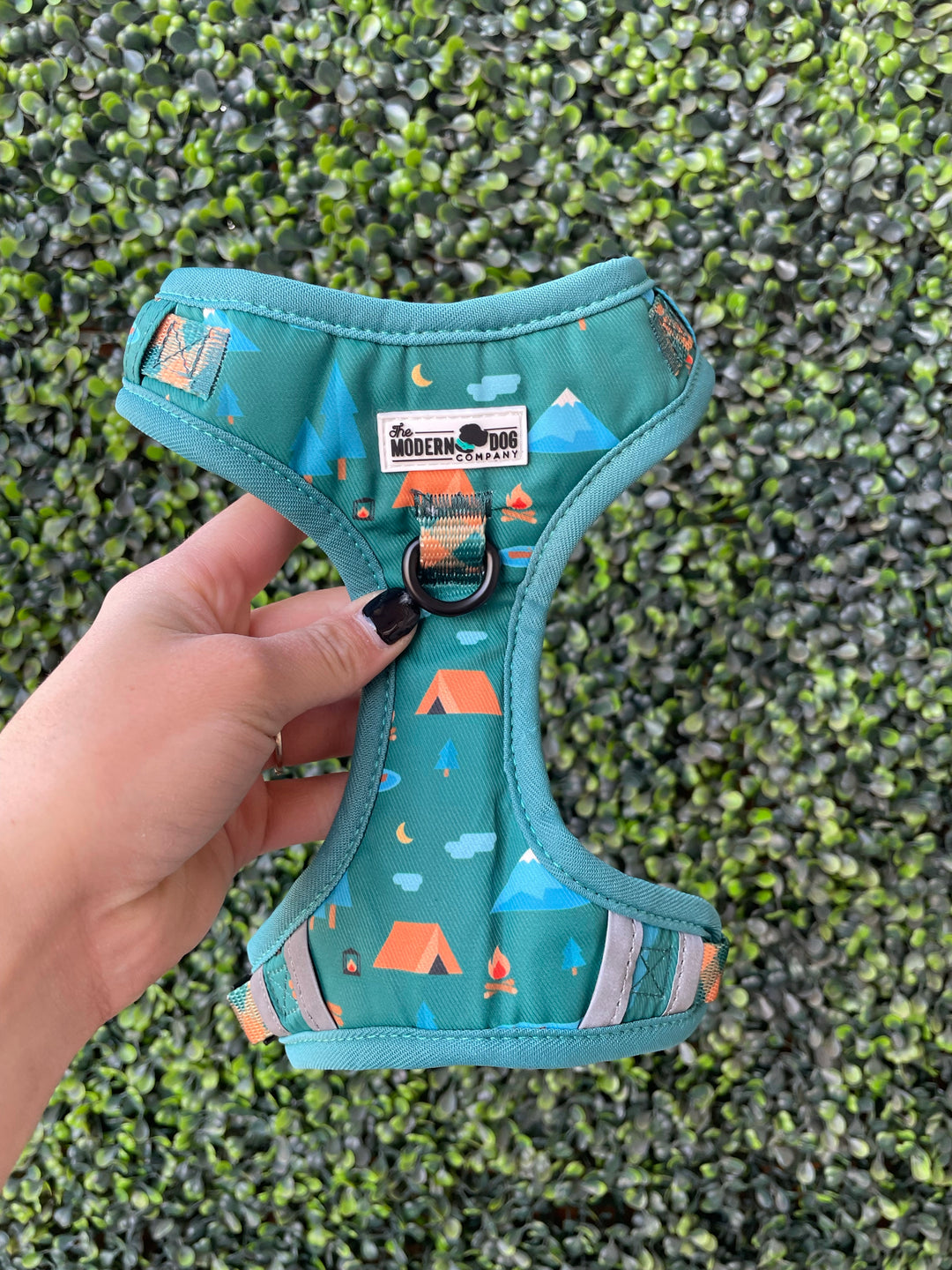 The Modern Dog Company - Camping Harness - BIG FRENCHIES