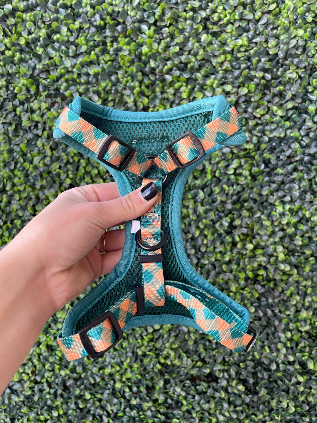 The Modern Dog Company - Camping Harness - BIG FRENCHIES