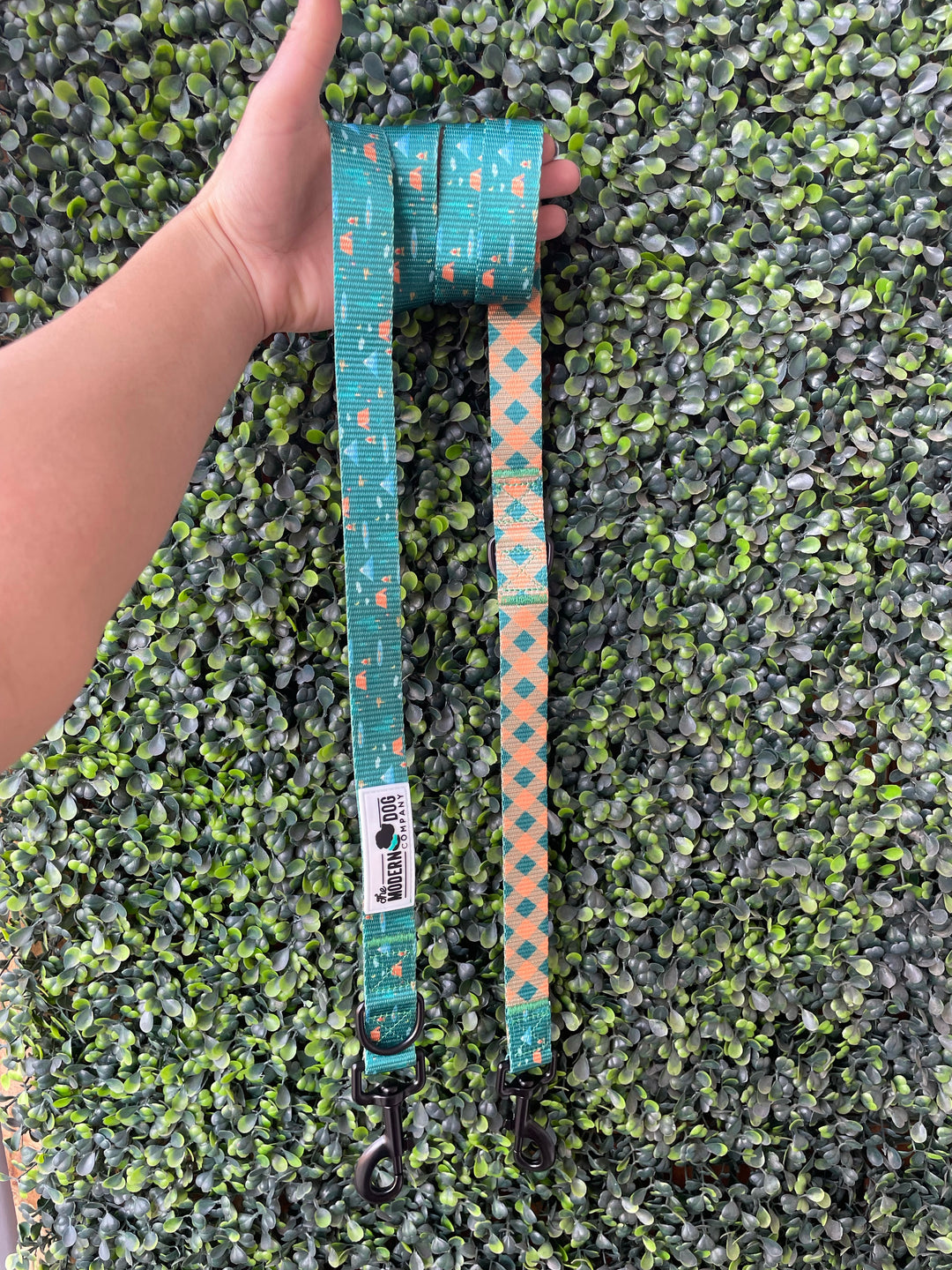 The Modern Dog Company - Camping Leash - BIG FRENCHIES