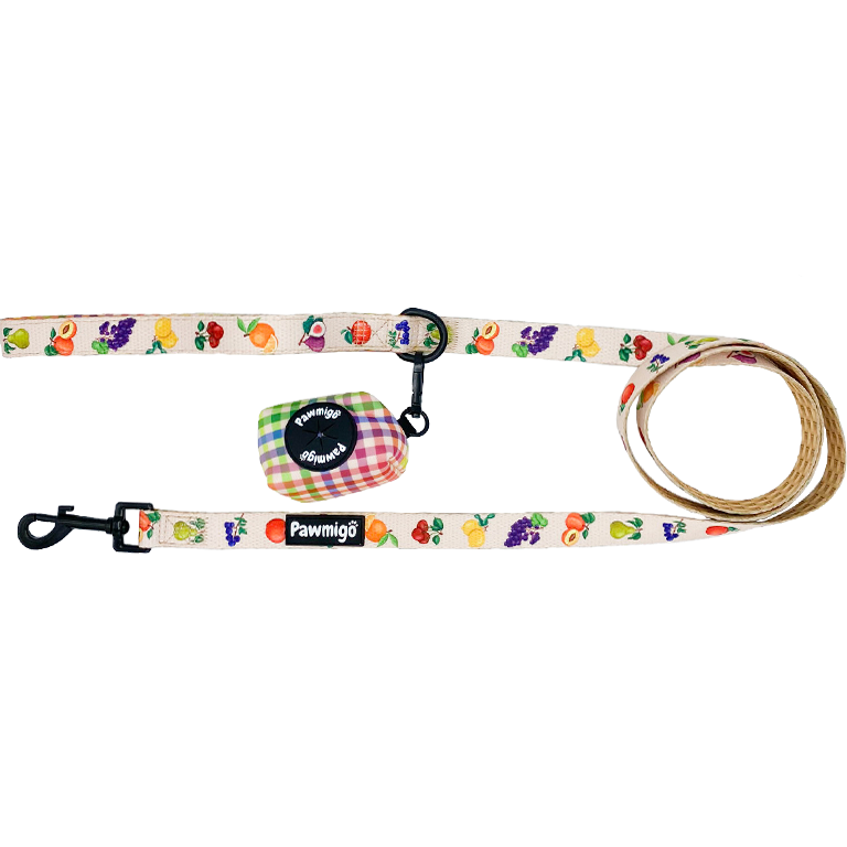 Frootie Patootie Leash Kit-Leash Kit-BIG FRENCHIES-Pawmigo