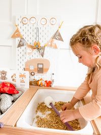 Camping Tent Dramatic Play Kit