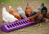 Little Giant 20" Plastic Flip-Top Poultry Ground Feeder, Purple Chickens Birds