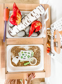 Camping Tent Dramatic Play Kit