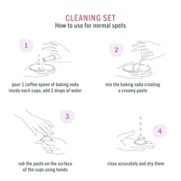 Silverette Cleaning Kit - BIG FRENCHIES