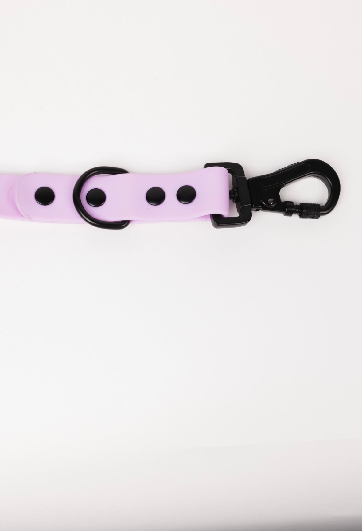 The Modern Dog Company - Blush Pink Leash - BIG FRENCHIES