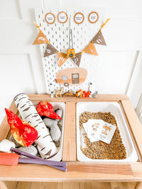 Camping Tent Dramatic Play Kit