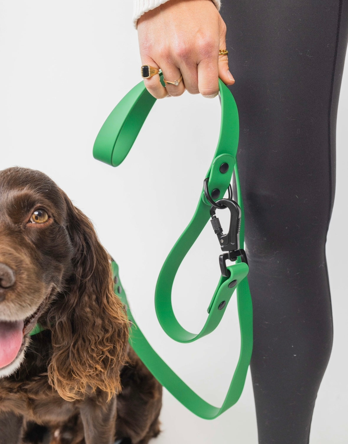 The Modern Dog Company - Clover Green Leash - BIG FRENCHIES