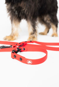 The Modern Dog Company - Ruby Red Adjustable Leash - BIG FRENCHIES
